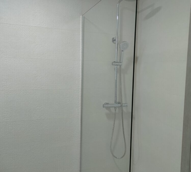 Baño Proyecto 6